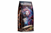 Blue Orca Fusion Nicaragua Fazenda Finestra