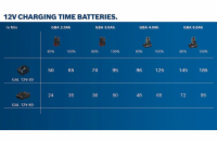 Bosch 2× GBA 12V 6.0Ah Professional (1.600.A00.X7M)