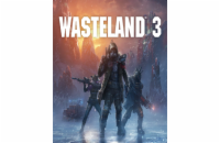 ESD Wasteland 3