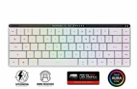 ASUS klávesnice ROG FALCHION RX Low profile (ROG NX Snow), US